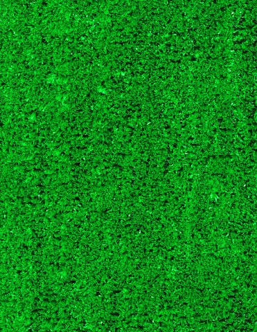 Tropicana Grass - 8318H Bright Green